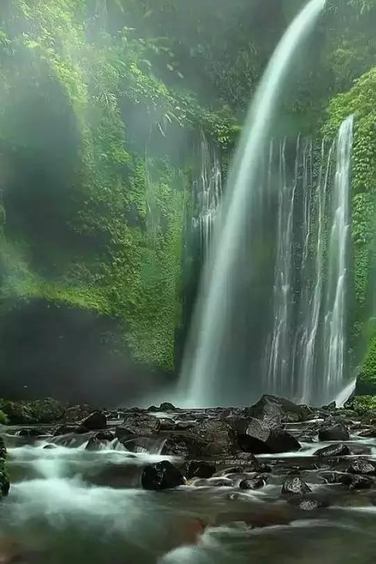 救援男孩毕业生