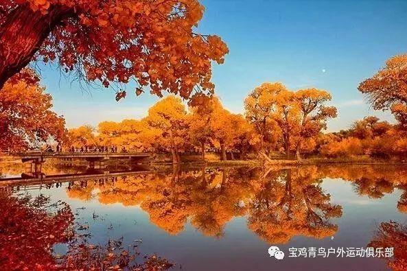 疯狂热气球大冒险