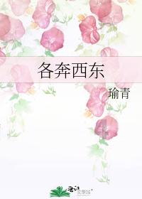 逃离沙漠的遗迹