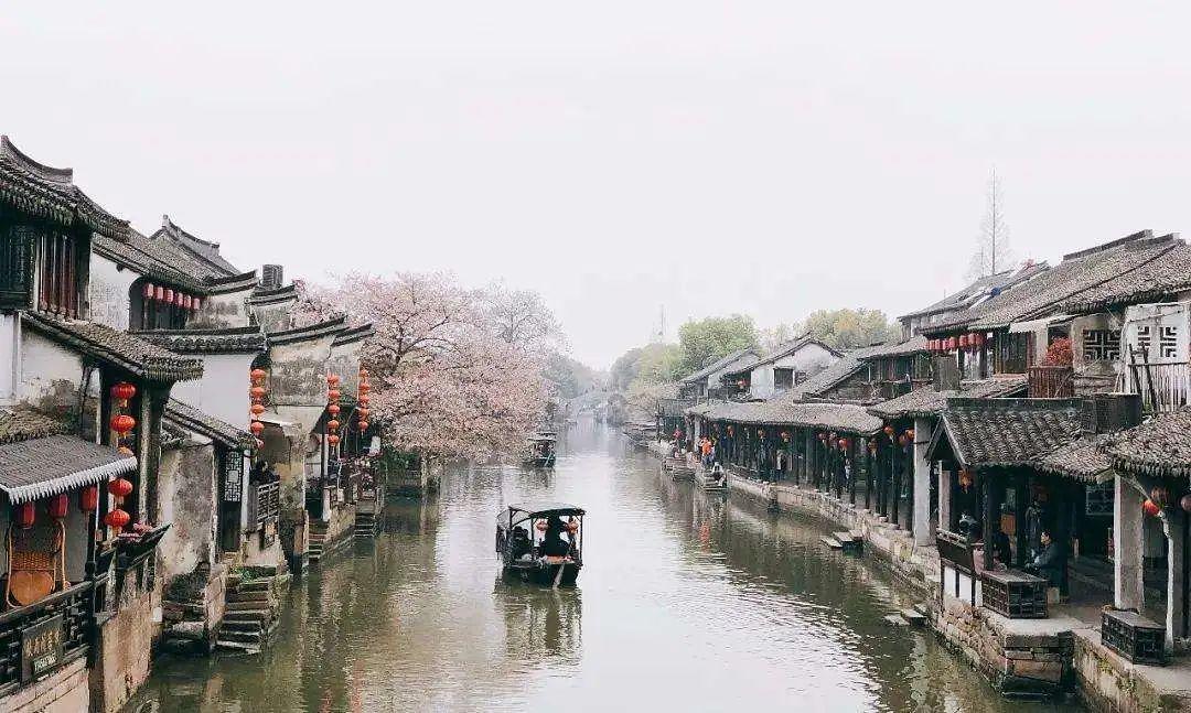 李玫瑾已删除《繁花》点评,粉丝掉了几十万